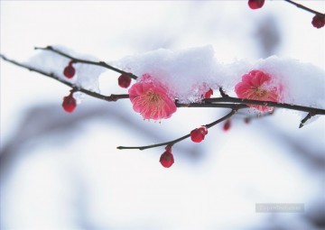From Photos Realistic Painting - Pink Flowers Snow Painting from Photos to Art